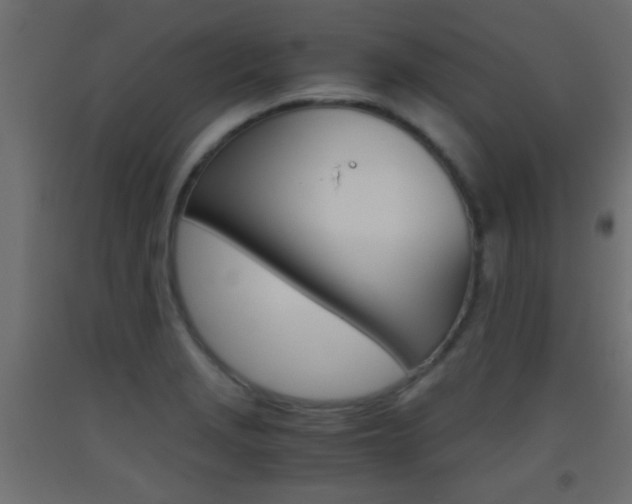 X0000093441229200710120939