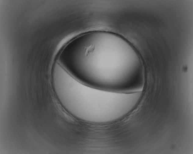 X0000093441230200710120939
