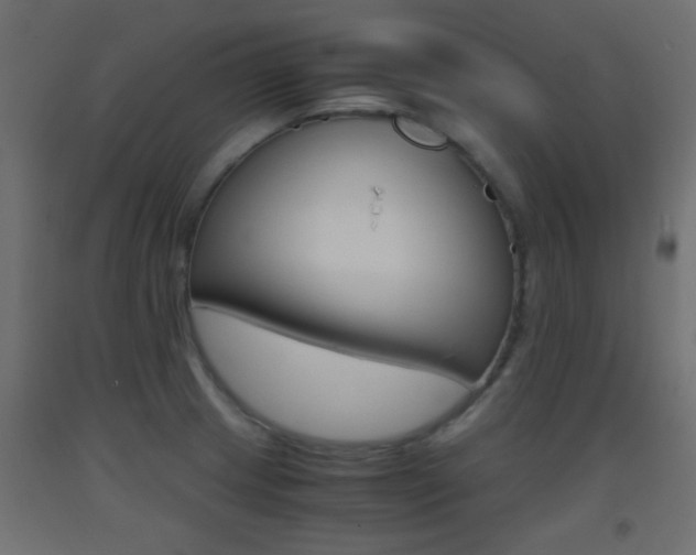 X0000093441233200710120939