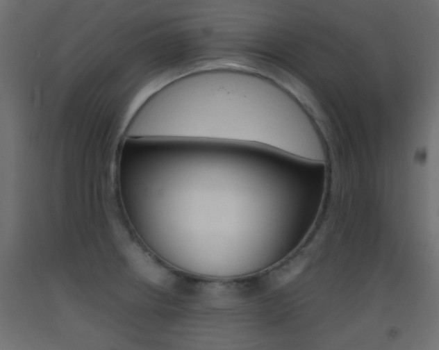 X0000093441234200710120939