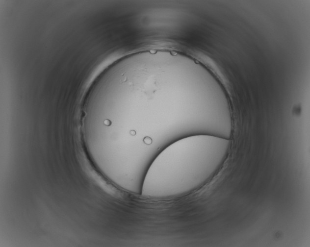 X0000093441235200710120939