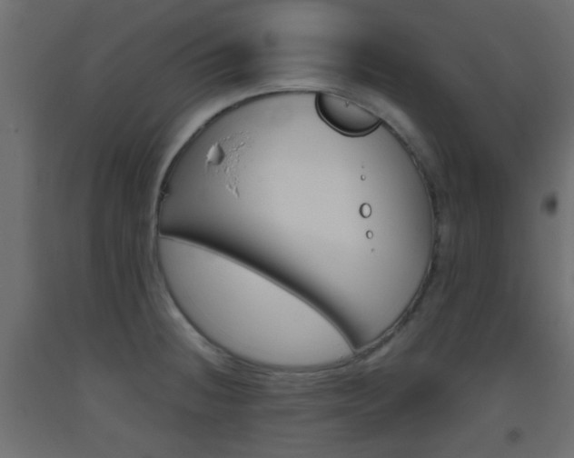 X0000093441236200710120939