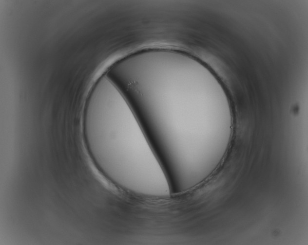 X0000093441237200710120939