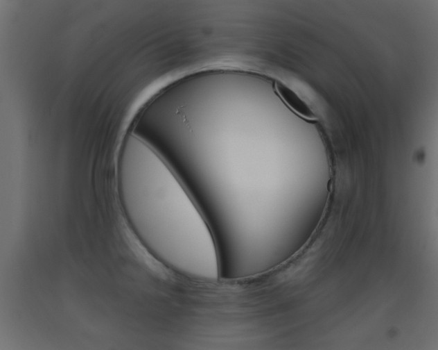 X0000093441238200710120939