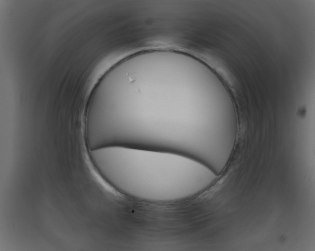 X0000093441239200710120939