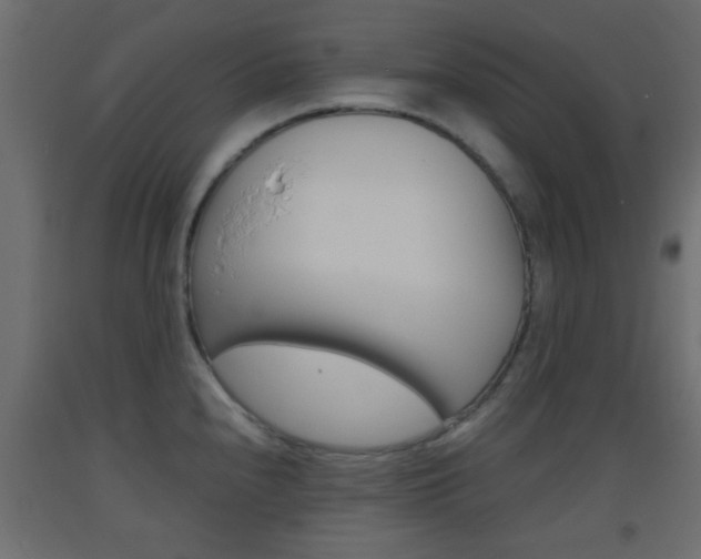 X0000093441240200710120939