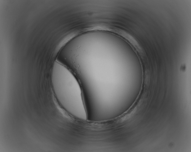 X0000093441241200710120939