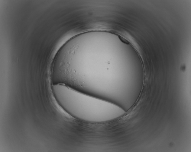 X0000093441243200710120939