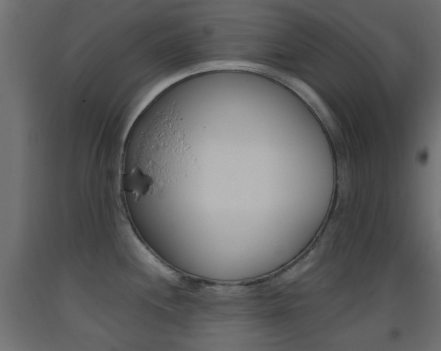 X0000093441244200710120939