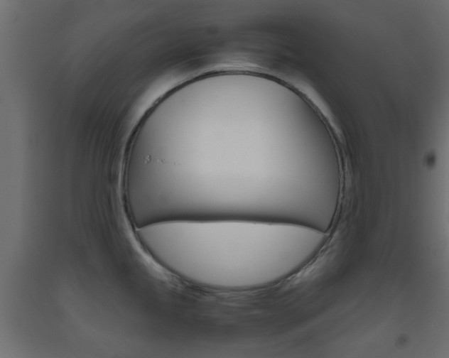 X0000093441245200710120939