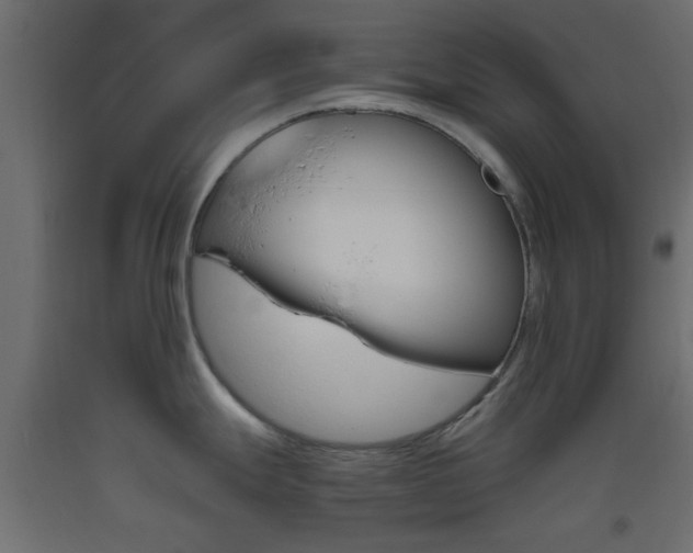 X0000093441247200710120939