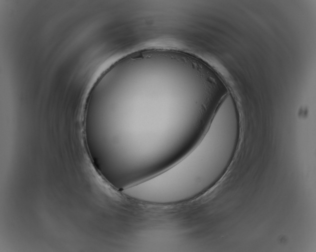 X0000093441248200710120939