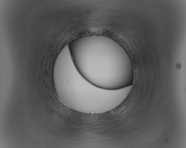 X0000093441249200710120939