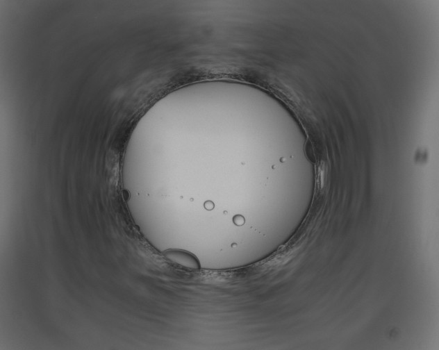 X0000093441251200710120939