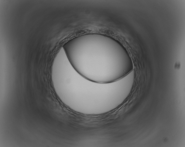X0000093441253200710120939
