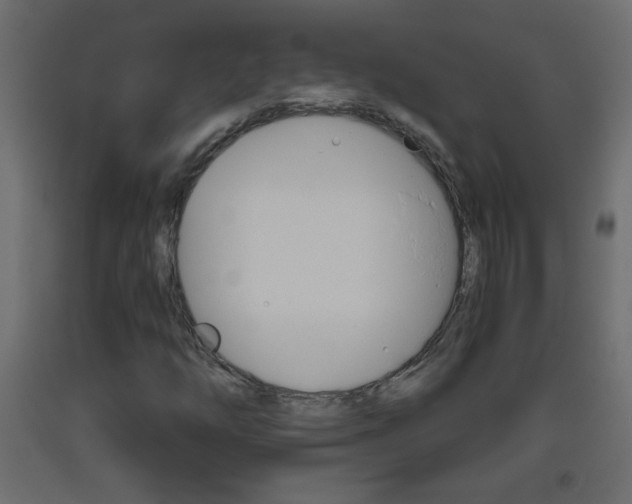 X0000093441254200710120939