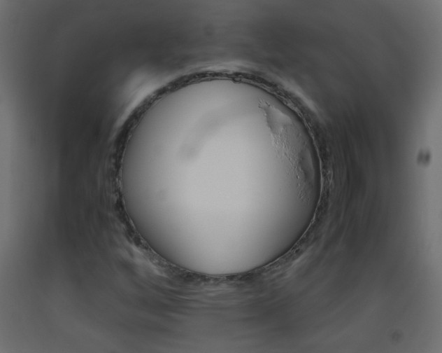 X0000093441256200710120939