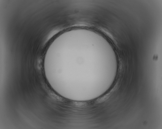 X0000093441258200710120939