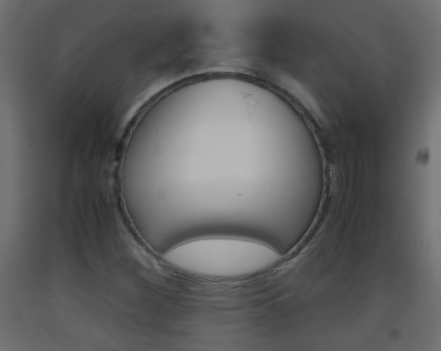 X0000093441260200710120939