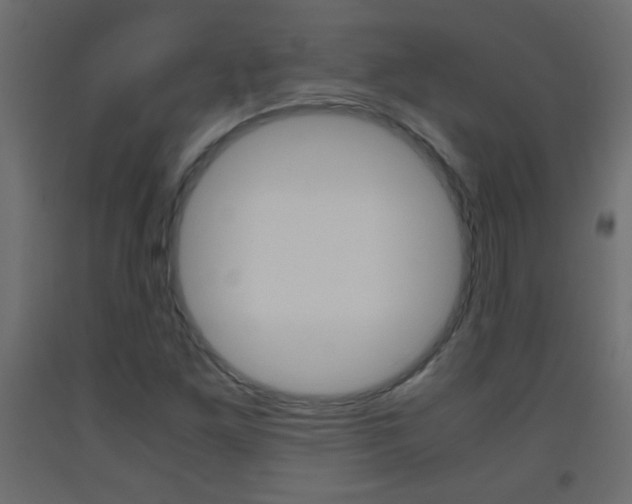 X0000093441261200710120939