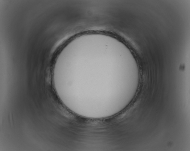 X0000093441262200710120939