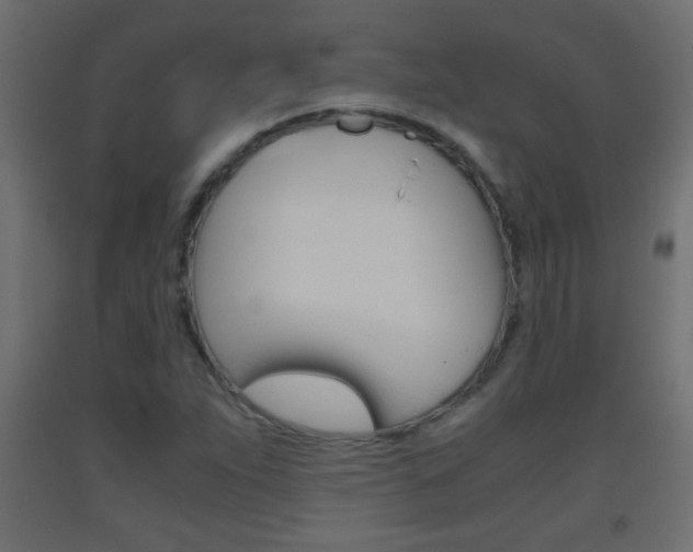 X0000093441263200710120939