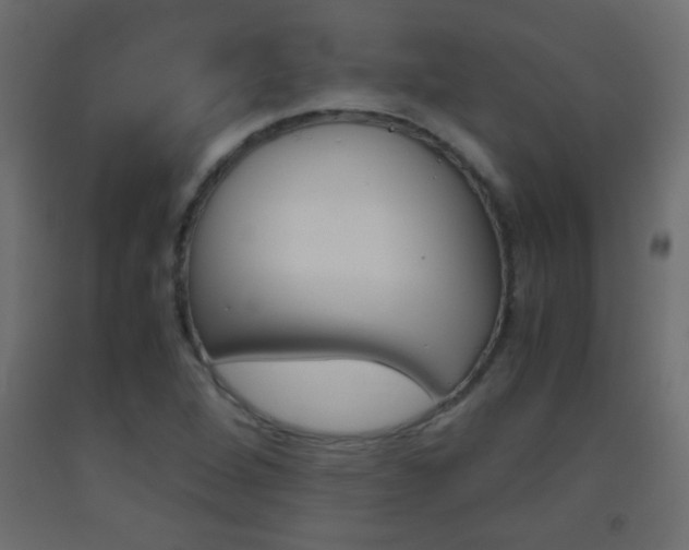 X0000093441264200710120938