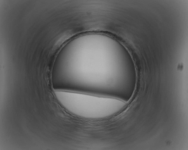 X0000093441265200710120938