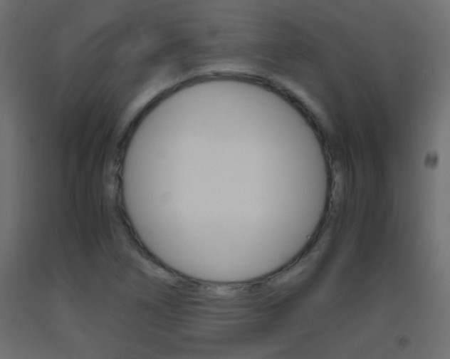 X0000093441266200710120938