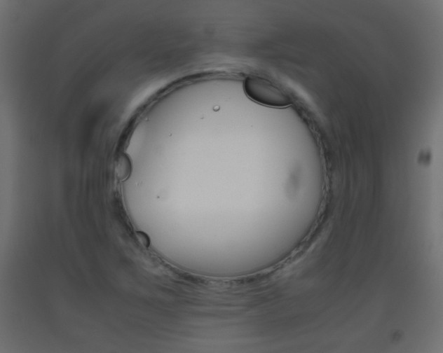 X0000093441267200710120938