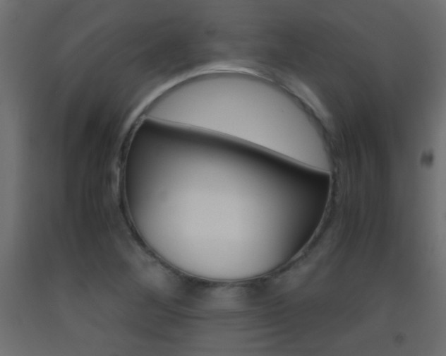 X0000093441268200710120938