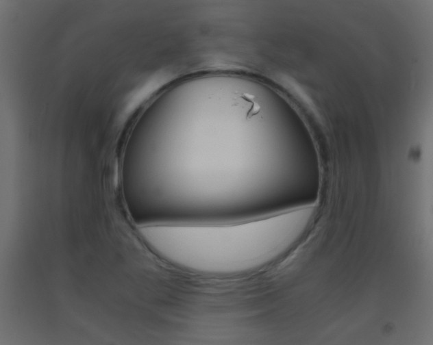 X0000093441269200710120938
