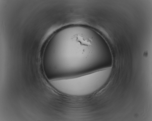 X0000093441270200710120938