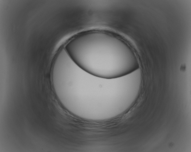 X0000093441271200710120938