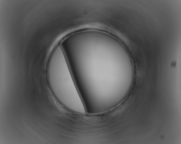 X0000093441272200710120938