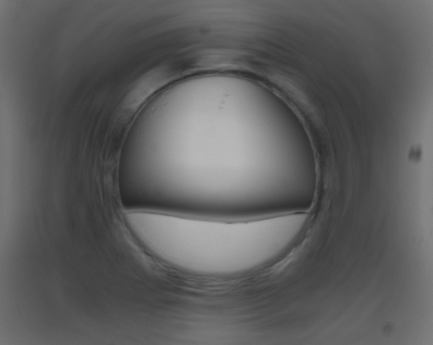 X0000093441273200710120938