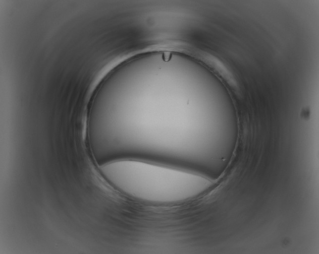 X0000093441276200710120938