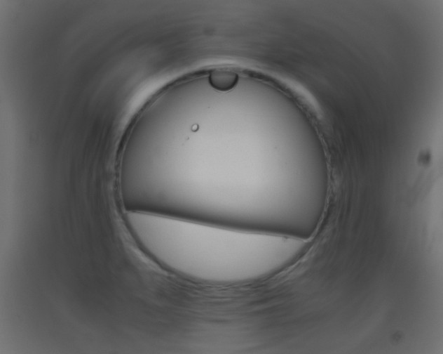 X0000093441279200710120938