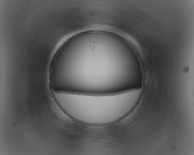 X0000093441280200710120938