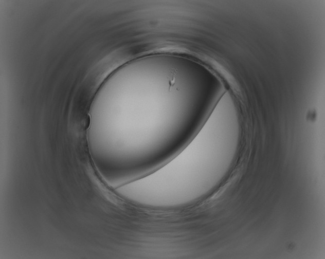 X0000093441281200710120938