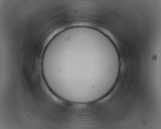 X0000093441282200710120938