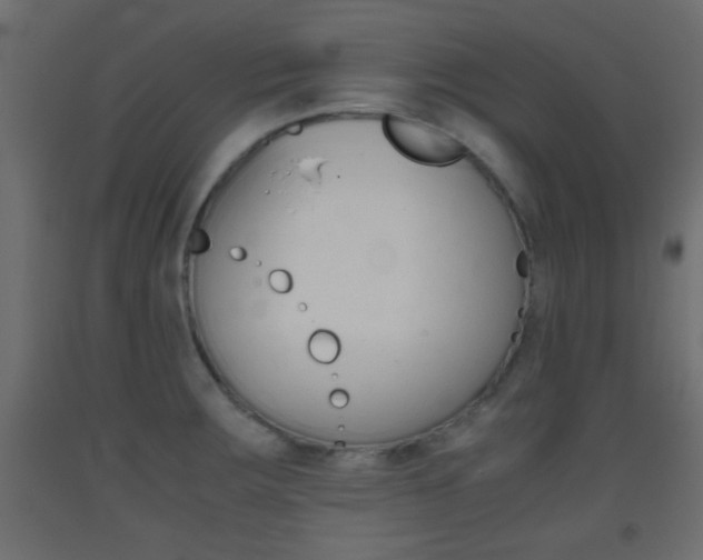 X0000093441283200710120938