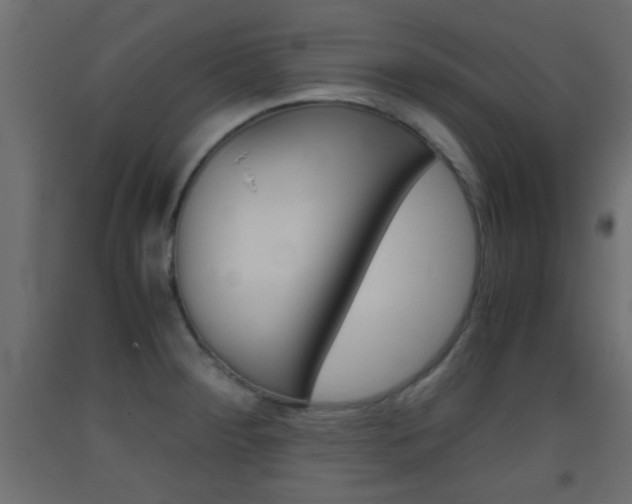 X0000093441284200710120938