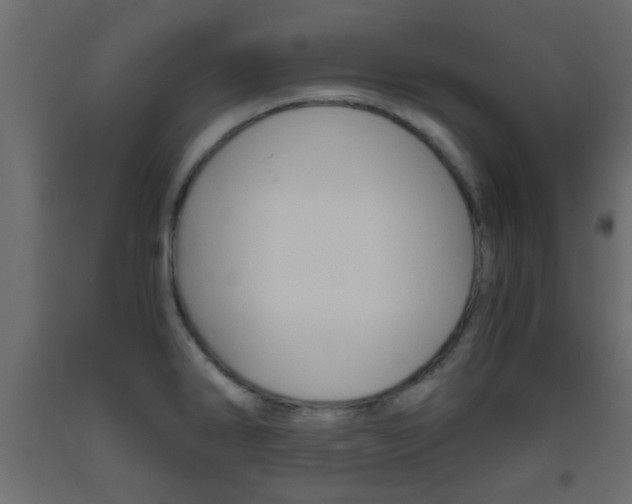 X0000093441286200710120938