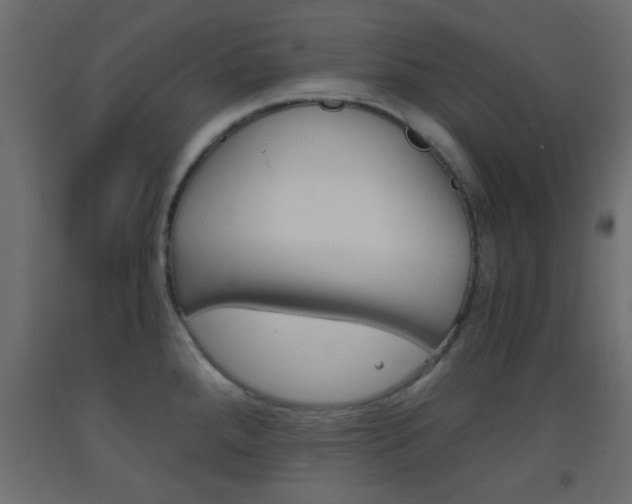 X0000093441288200710120938