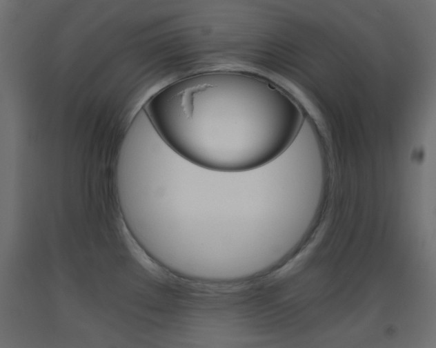 X0000093441289200710120938