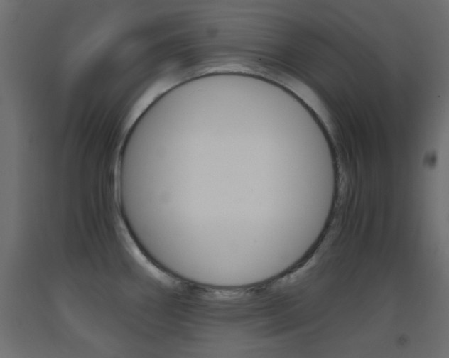X0000093441290200710120938