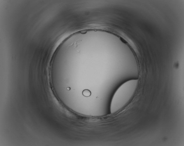 X0000093441291200710120938