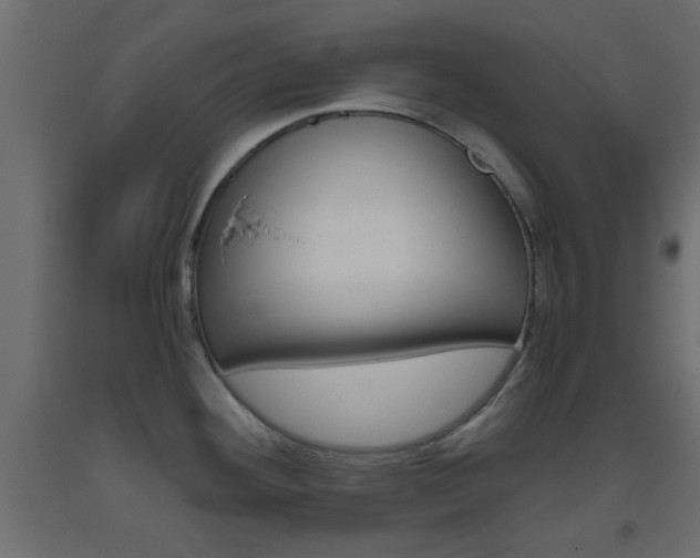 X0000093441292200710120938