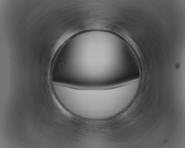 X0000093441293200710120938